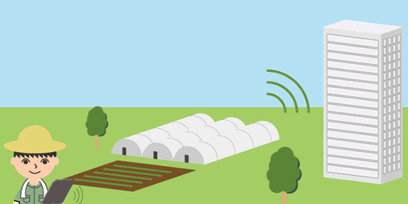 Using Networks in IT Agriculture